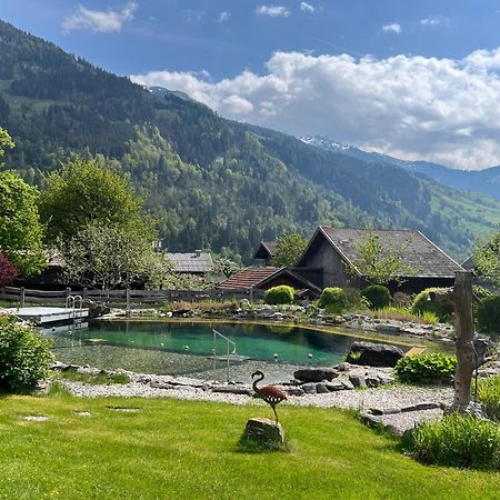 Appartement Alte Schmiede Dorfgastein Eksteriør billede