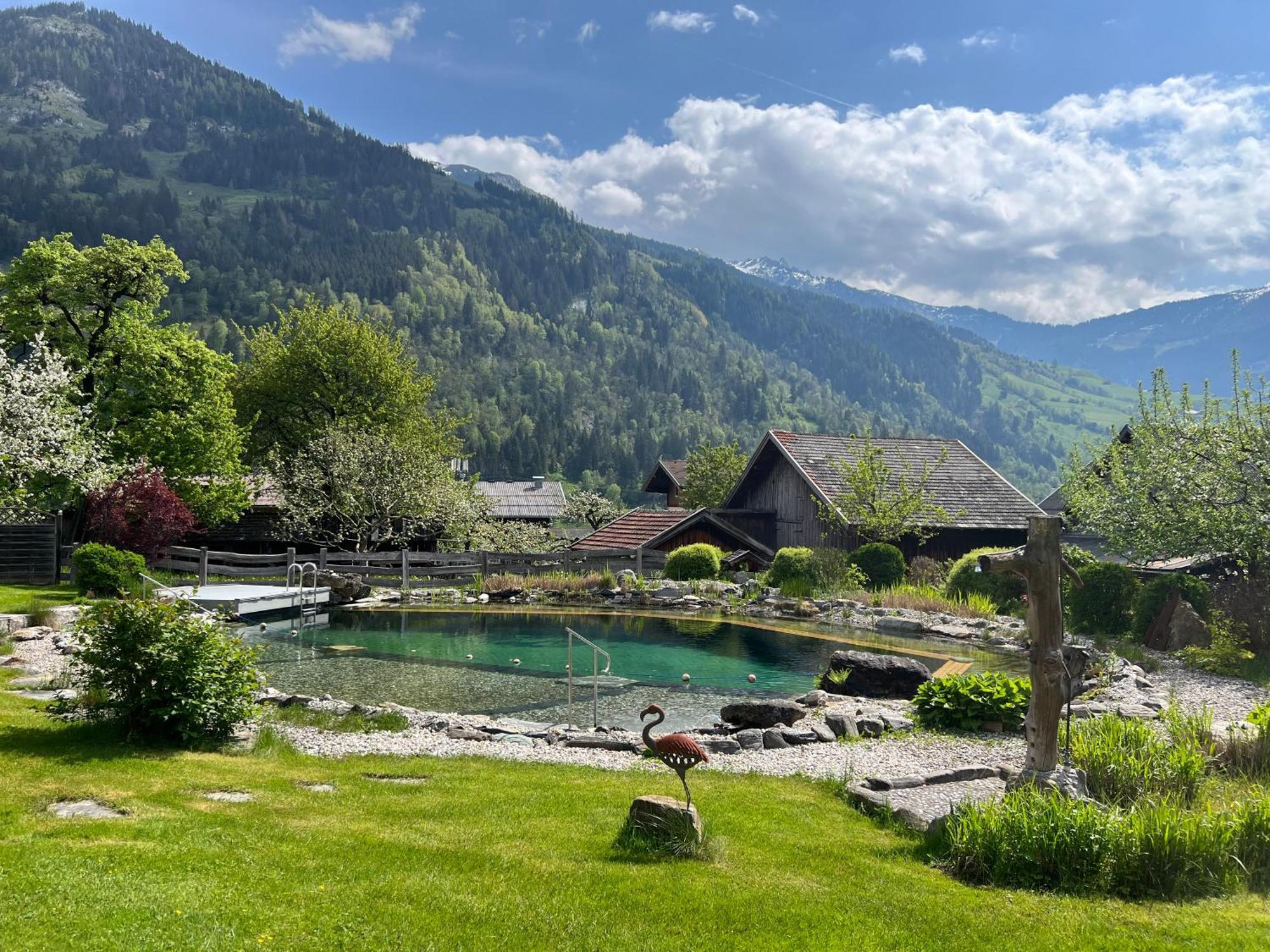 Appartement Alte Schmiede Dorfgastein Eksteriør billede