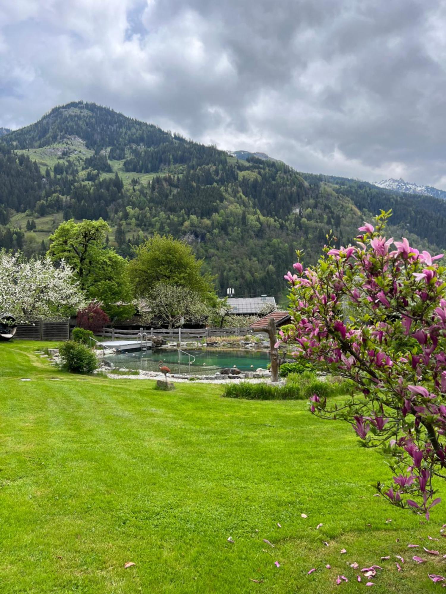 Appartement Alte Schmiede Dorfgastein Eksteriør billede